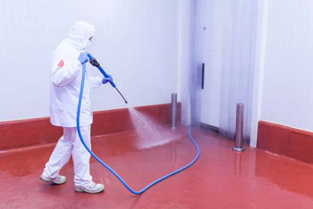 Best Soft Washing  in West Alexandria, OH