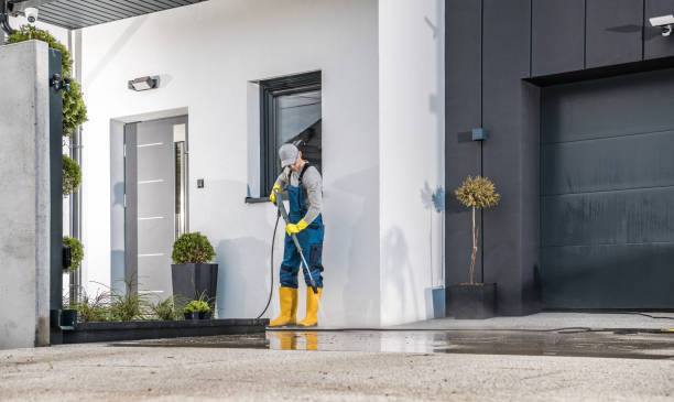 Best Graffiti Removal  in West Alexandria, OH